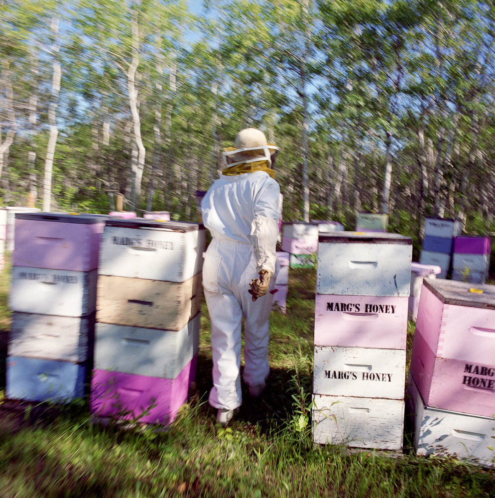 Beekeeper 2 by winnipeg editorial photographer