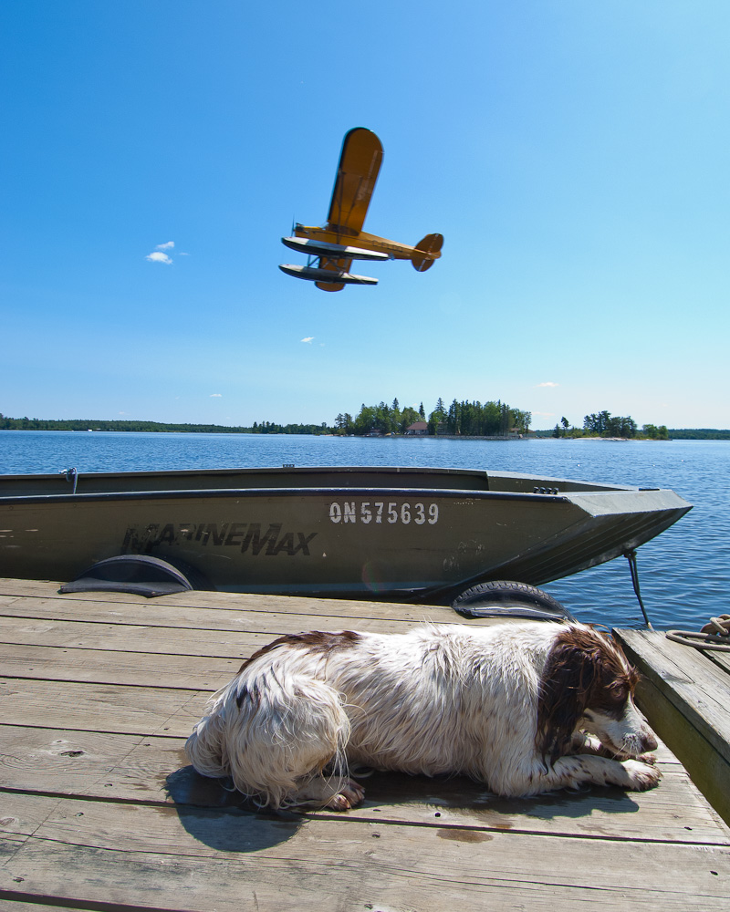 Floatplane and dog by Winnipeg editorial photographer